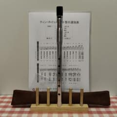 ティンホイッスルⅮ調ハンドメイドAL - メルカリ