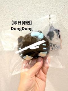 동동 DongDong 스퀴즈 흰 고양이
