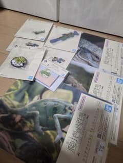 一番くじ 爬虫類＆両生類 Tiny Friends vol.3 セット