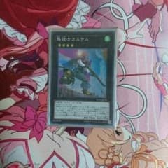 遊戯王 鳥銃士カステルのサムネイル