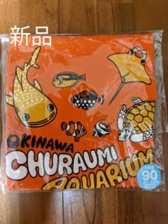沖縄　美ら海水族館　Tシャツのサムネイル