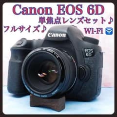 キャノン EOS 6D☆50mm単焦点☆一眼レフカメラ☆美しいボケと描写力