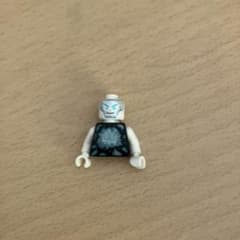 LEGO ミニフィギュア 氷のテーマのサムネイル