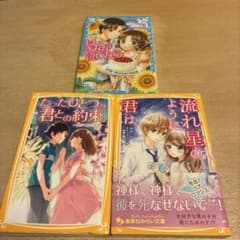 恋愛小説 3冊セットのサムネイル