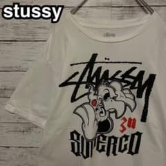 508【入手困難】ステューシー♤ビッグロゴ 半袖Tシャツ 即完売品 希少 