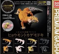 いきもの大図鑑アドバンス ヒョウモントカゲモドキ 7体セットのサムネイル