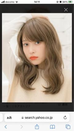【まとめ売り】リネアストリア ヴィッグ  2個セットのサムネイル
