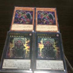 DDセットのサムネイル