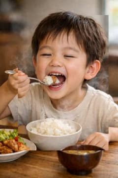 令和7年産 コシヒカリ 玄米25kg 愛媛県産 減農薬 農家直送 送料込み　03 令和7年産 コシヒカリ 玄米25kg 愛媛県産 減農薬 農家直送 送料込み 03