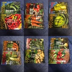 やさいの時間　2010年04月〜2011年０のサムネイル