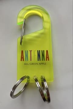 Mrs. GREEN APPLE 미세스 그린 애플 아크릴 카라비나