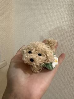 トイプーちゃん♡お花のポシェット付き ハンドメイド/モールアート/モールドールのサムネイル