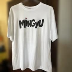 ナナツアー Tシャツ ミンギュのサムネイル