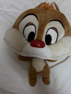 Disney Fan Cap Dale