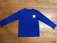 THE NORTH FACE 長袖カットソー ブルーのサムネイル