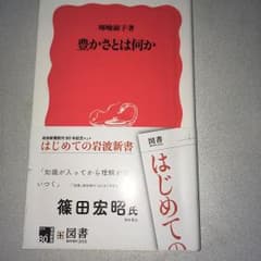 豊かさとは何かのサムネイル