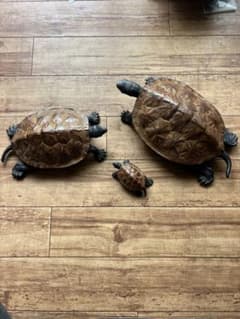 鉄製 亀の置物 親子3点セット 縁起物 インテリア オブジェ 鉄製 亀の置物 親子3点セット 縁起物 インテリア オブジェ | Mercari