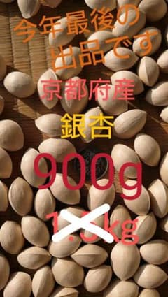 京都産銀杏のサムネイル