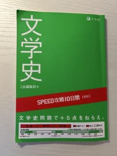 文学史 SPEED攻略10日間のサムネイル