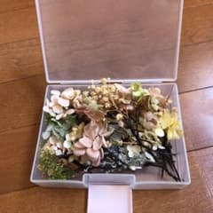 ドライフラワー　髪飾り　ウェディングのサムネイル