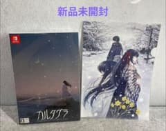 最安ショップ比較】 カルタグラ – Switch – キャラホビ