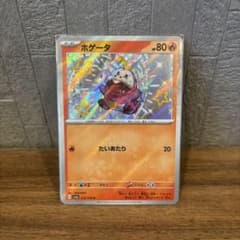 ホゲータ　S ホロズレエラーカード。 ※かなりズレてます。 ホゲータ S ホロズレエラーカード。 ※かなりズレてます。 - メルカリ