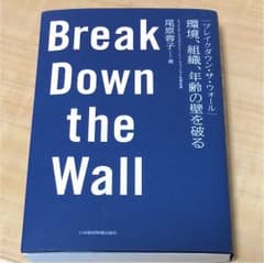 ブレイクダウン・ザ・ウォール Break Down the Wall 環境、組…のサムネイル