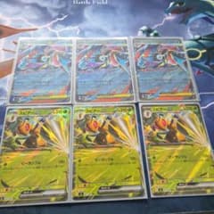 メガゲッコウガex スピアーex セットのサムネイル