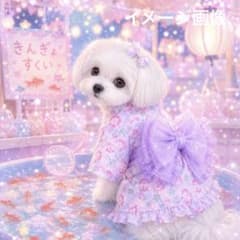 犬服ハンドメイド着物浴衣♡夢夢さん 犬服 ハンドメイド 浴衣 ゆめかわ 完成品 - メルカリ