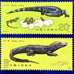 外国切手 中国 揚子江ワニ 未使用 2種完 1983年 - メルカリ
