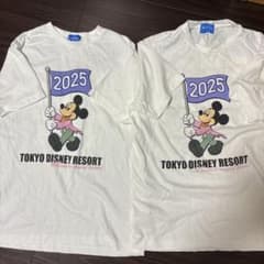 Disney T-shirt Set SM 2025