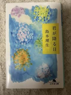 君が降る日 島本理生 幻冬舎文庫 小説のサムネイル