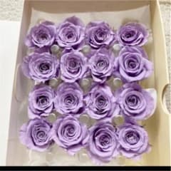こぶたチャン様専用 薔薇 2cm前後 12輪のサムネイル