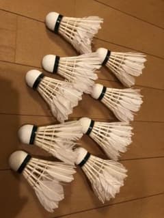 バドミントンシャトル メントスさんから購入したもののサムネイル