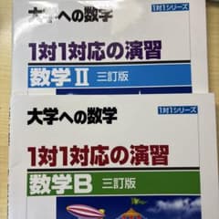大学への数学 1対1シリーズ 数学 II B 三訂版のサムネイル