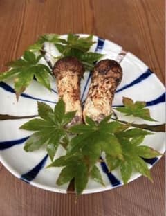 青森県産 朝採り 松茸 100ｇのサムネイル