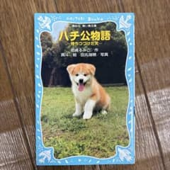 ハチ公物語 待ちつづけた犬 講談社青い鳥文庫のサムネイル