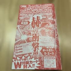 ミラクルバトルカードダス W付録カード 孫悟飯 ポートガス・D・エース