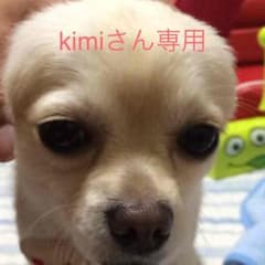 専用ですのサムネイル