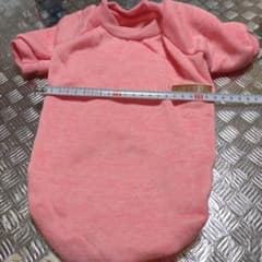 犬の服、のサムネイル