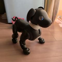 Sony aibo 本体 アイボ ERS-1000 ブラック 黒 エスプレッソ - メルカリ