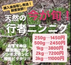 今年度ラスト‼️岩手県産天然行者ニンニク　3kg アイヌネギ 今年ラスト‼️岩手県産天然行者ニンニク 3kg アイヌネギ - メルカリ