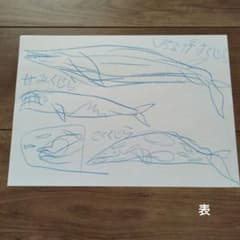 子供が書いた絵　くじらのサムネイル