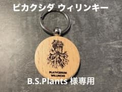 B.S.Plants 様専用のサムネイル