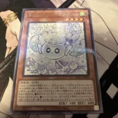 マルチャミー・フワロスのサムネイル
