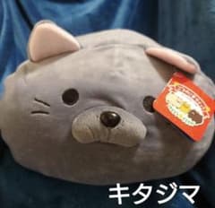 タグ付【キタジマ】ごろねこサミットぬいぐるみのびるよにゃもち