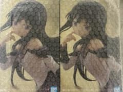 劇場版 魔法少女まどか☆マギカ〈ワルプルギスの廻天〉 暁美ほむら フィギュア×2