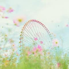 メヴィスのサムネイル