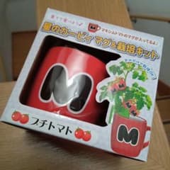 별의 커비 맥시맘 토마토 재배 키트