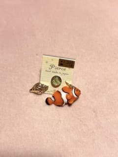 【新品】カクレクマノミ 貝殻 モチーフ ピアス